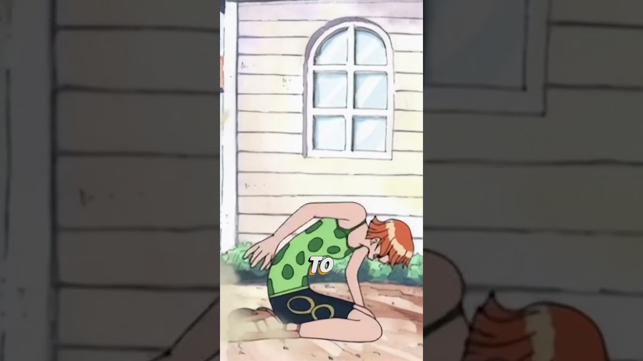 One Piece Nami Speech 