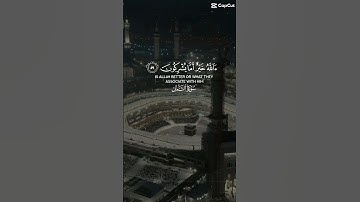 سورة النمل ياسر الدوسري #ياسر_الدوسري #اكسبلور #القرآن_الكريم #قرآن