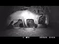 Clips from a Wildlife Feeding Station. May 2022