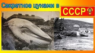 Секретное ЦУНАМИ в СССР