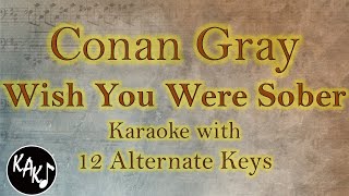 Wish You Were Sober Karaoke - Conan Gray Instrumental Original Lower Higher Female Key Version