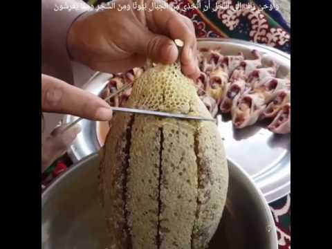 عسل السوري سبحان الله