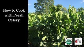 Fresh Celery Tutorial