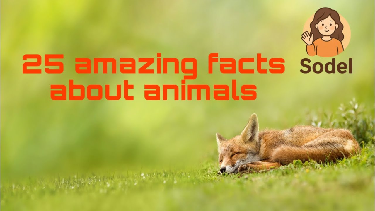 25 Animal Facts That Will Blow Your Mind 🐾 | Amazing Animal Facts - YouTube