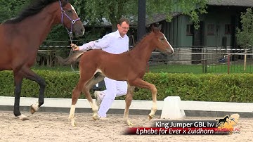 45 - King Jumper GBL hv - Ephebe for Ever x Zuidhorn