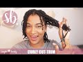 Curly &quot;Ends Cut&quot; | Natural Hair |Twist