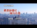 『東京砂漠に咲いた花』岩本公水 カラオケ 2022年4月6日発売