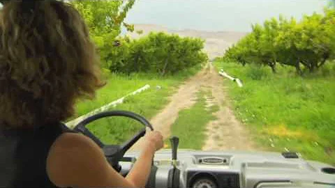 High Country Orchards Fresh Peaches Palisade Colorado - DayDayNews