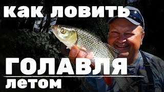 КАК ЛОВИТЬ ГОЛАВЛЯ летом на воблеры и блесны|Тест Crazy Fish Levin 6'2