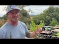 Chef seamus mullen on his residential 36 grillworks