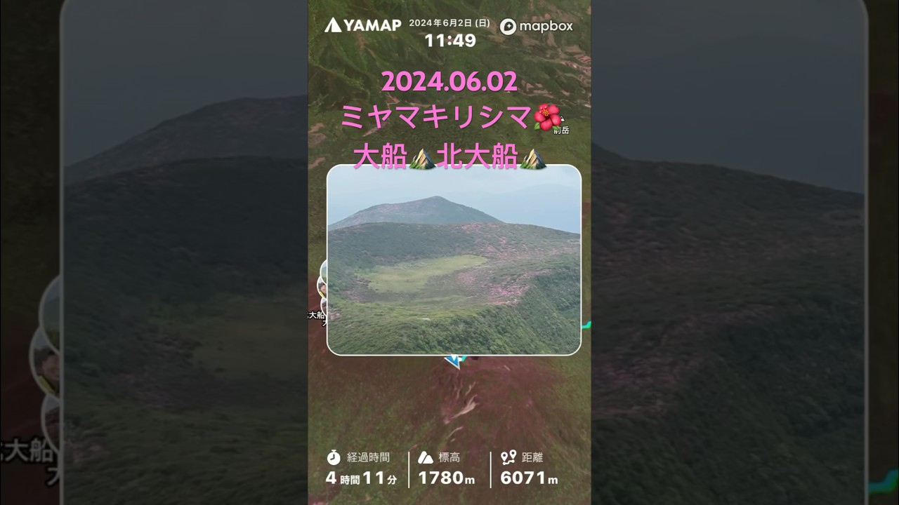 #ミヤマキリシマ