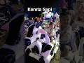 Kereta Sapi #anak #duniaanak #keretaapi #odongodong #trainfans #carnaval #pasarmalam #hiburan #sapi