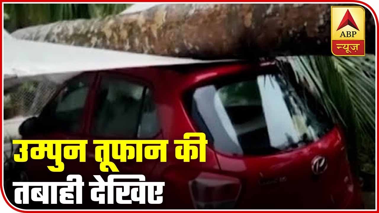 Amphan Cyclone Leaves Traces Of Destruction In WB, Odisha; Uprooted Trees A Common Sight | ABP News