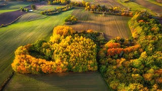 DJI Air 2s - Autumn in Poland by Krzysztof Smejlis 206 views 1 year ago 2 minutes, 16 seconds