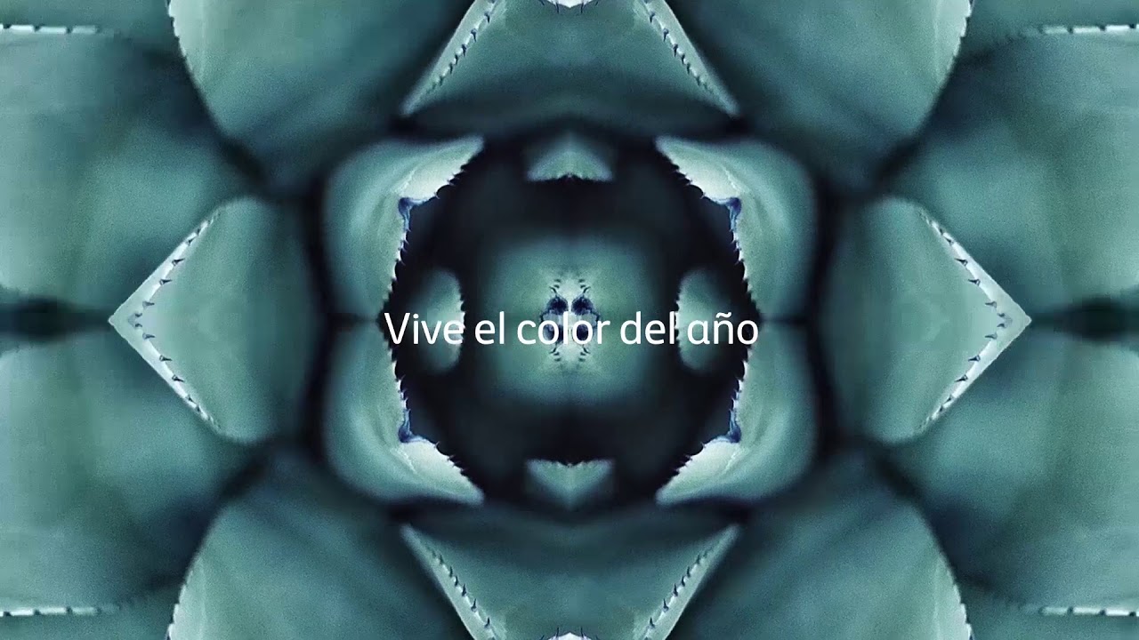 Comex Trends 2020 ¡Vegetal 29405, el color del año! YouTube