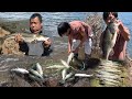 Fishing pikeminnow catfish and bass at indian valley reservoir 2024  yos hav dej nuv ntses
