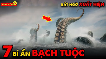 🔥 7 Bí Ẩn Ly Kỳ và Thú Vị về Bạch Tuộc Mà Chưa Có Ai Nói Cho Bạn Biết | Kính Lúp TV