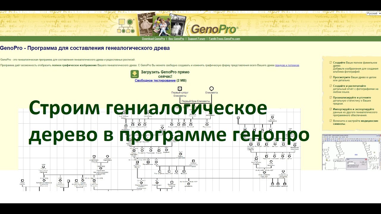 Строим Гениалогическое Дерево В Программе Генопро - YouTube