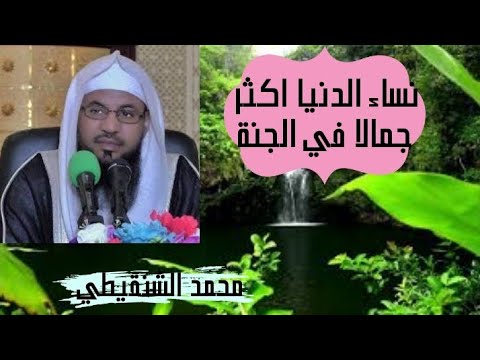 لماذا نساء الدنيا أفضل من نساء الجنة فضيلة الشيخ الدكتور محمد علي الشنقيطي
