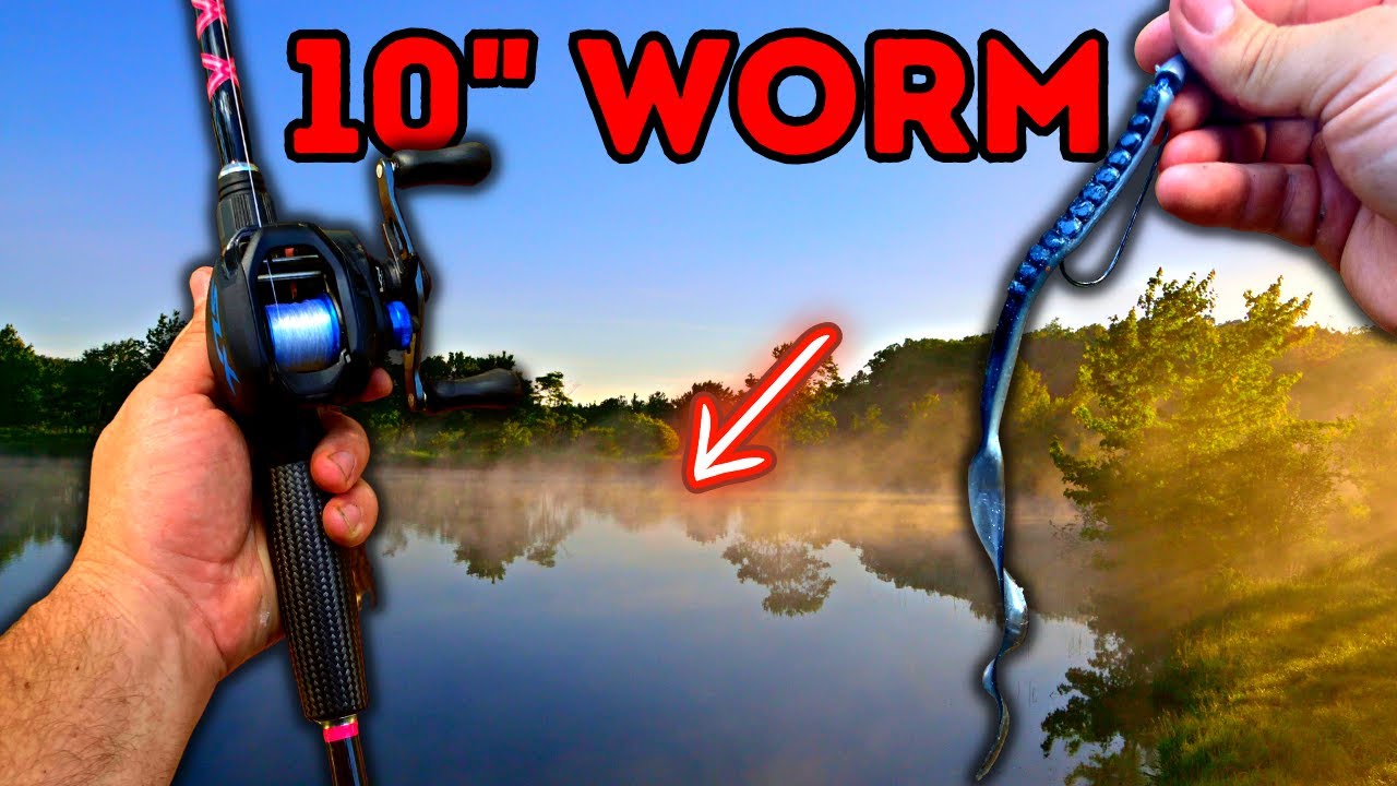 3 WACKY RIG Tips That Will IMPROVE Your BASS FISHING 