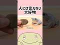 【カエル】仲間にはとても言えない大好物… #shorts