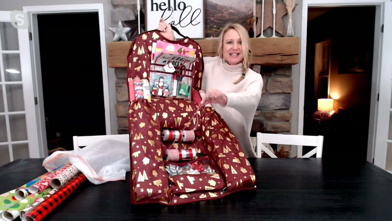 Honey-Can-Do Hanging Gift Wrap Organizer on QVC