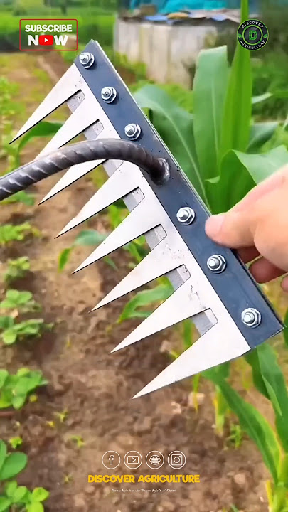 Amazing Weeding Tool