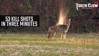 53 Kill Shots In 3 Minutes - Coyote Hunting screenshot 3