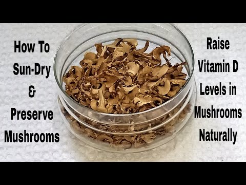 Video: Dry Mushrooms: Methods Of Drying