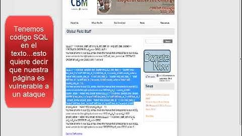 SQL Injection con Havij