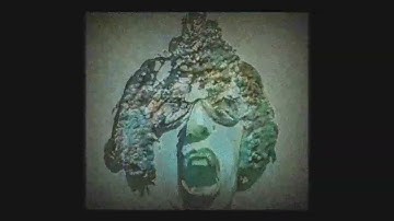 Everywhere At The End Of Time With Voices Stage 5 [Original] (Unofficial)