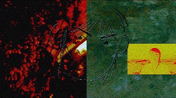 gates & gardens - snake pool (music video)