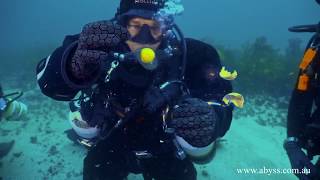 Sydney PADI IDC | Instructor Development Course