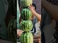 Most watermelons stacked - 4 by Ashkan Rohollah Doshmanziari ðŸ‡®ðŸ‡·