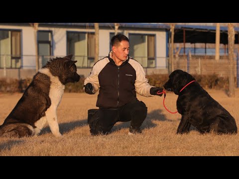 【168】井水不犯河水