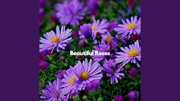 Pulsating Backdrops for Delightful Nights