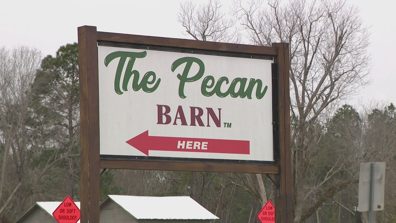 Local pecan farmers recovering from damage from Hurricane Helene - YouTube