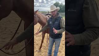 Celebrity Avoid these mistakes with bit fit. #ryanrose #rosehorsemanship #horsemanship #horse #horses Net Worth