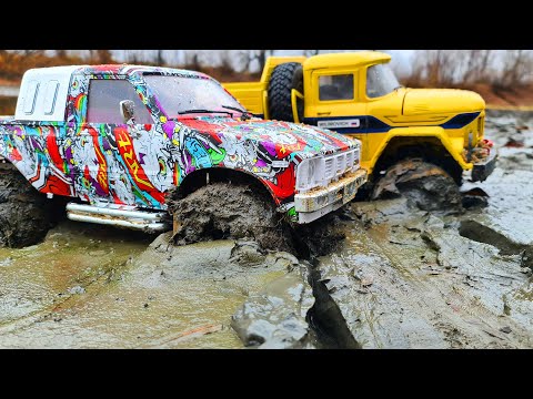 RC CARS 4x4 vs RC TRUCKS 6x6 - MUD Racing and Sand Racing