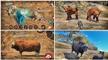 The Wolf- Top 10 Strongest Animals in Wild Tundra