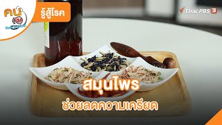 สมุนไพรช่วยลดความเครียด | รู้สู้โรค | คนสู้โรค