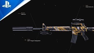 Call Of Duty Black Ops Cold War - M16 Camos Comparison (Funkadelic,Fraction,Drench,Bengal) [4K]