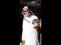 بعد ماربك انطاك مسرع 