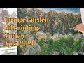 Plein Air Oil Painting - Turkey Forest and Orange Garden Landscape Art