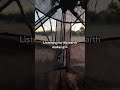 Morning sits are the best #hunting  #archeryhunting #fyp #shorts #deer #whitetail