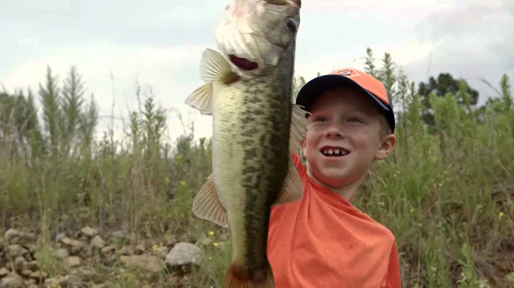 Rod and Reel | Mitchell 300 Pro Spinning