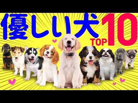 【❤️性格が優しい犬種ランキング】専門家や飼い主の声、歴史的特性まとめ