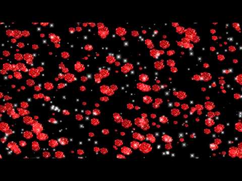 футажи для видеомонтажа hd