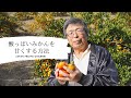 [4K] 酸っぱいみかんを甘くする方法