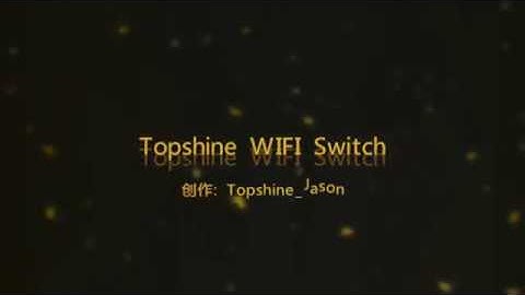 WIFI Touch Switch Work With Amazon Alexa And Google Home Assistant